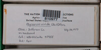 Image Associated With the Occurence